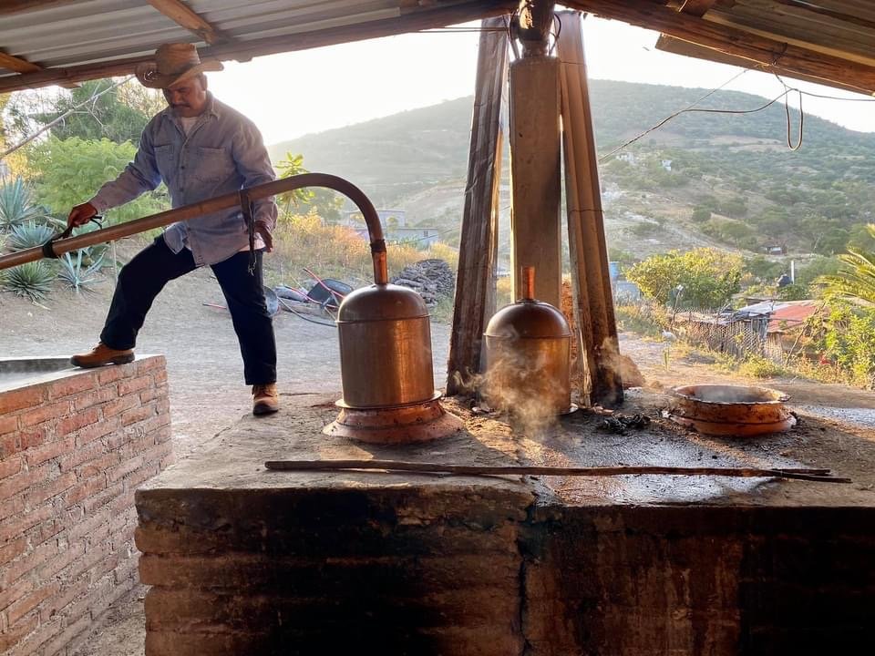 Cirino with stills