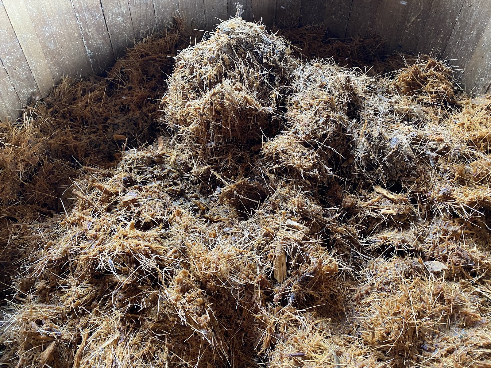 crushed agave fiber in a barrel