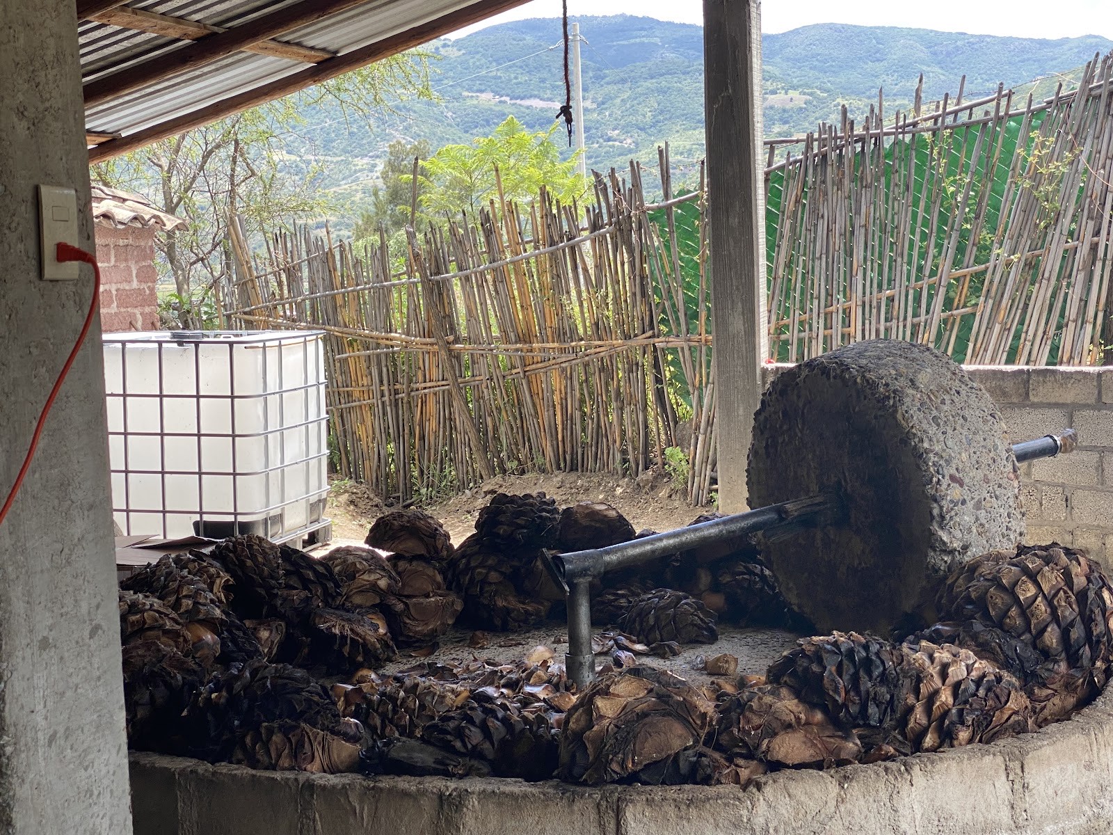 the tahona mill crushing roasted agave
