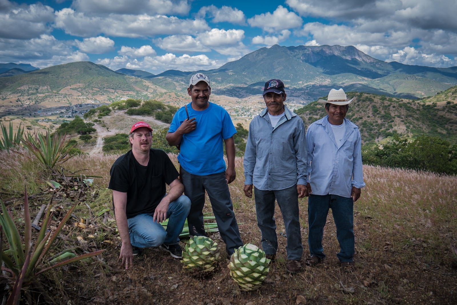 carrying agave hearts in the mountains