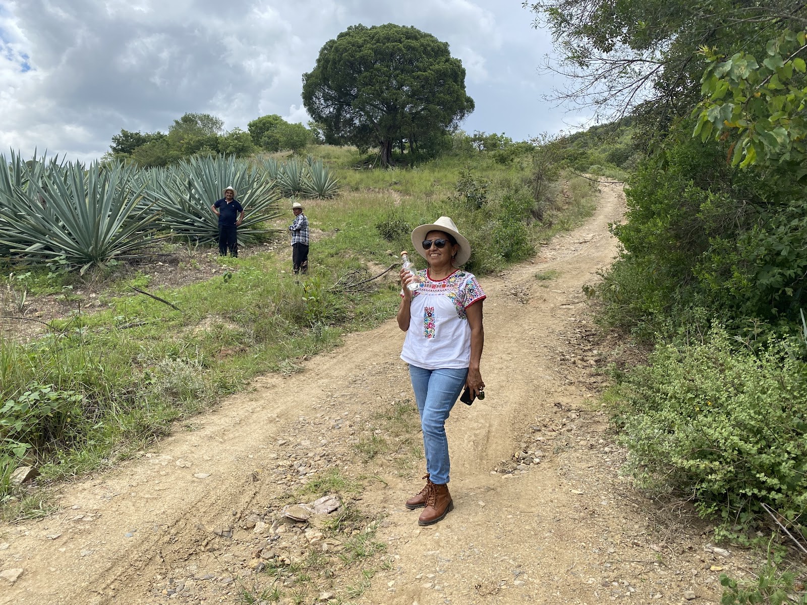 walking a path through the agave